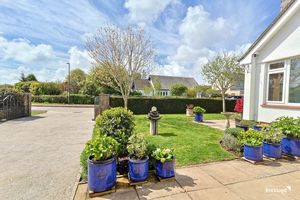 Photo 31- click for photo gallery